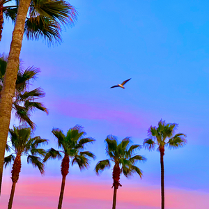 奶头又大又❌又白喷奶水美女
